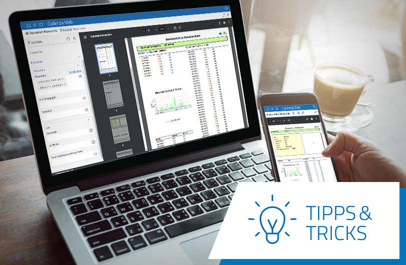 Interaktives Arbeiten mit Cadenza: Berichte per Permalink teilen und aufrufen