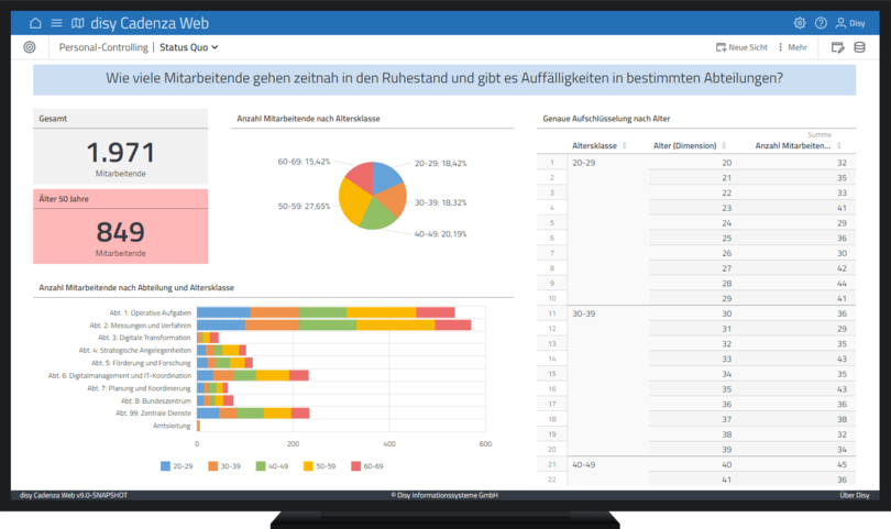 Dashboard mit Altersstrukturanalyse der gesamten Organisation