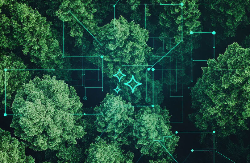 Mit Künstlicher Intelligenz Umweltbeobachtungen in strukturierte Daten überführen