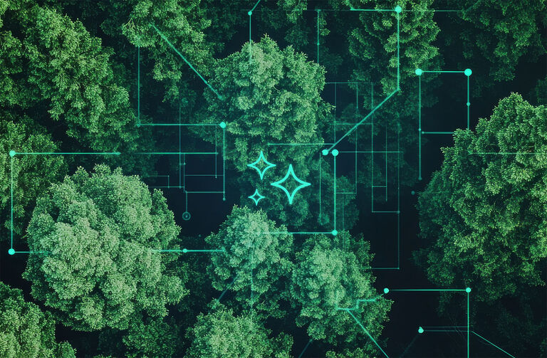 Teaserbild: Use Case Smart Forest