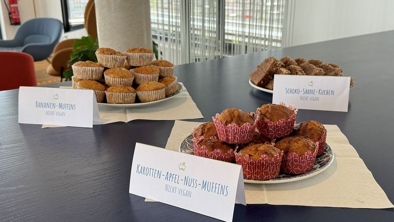 Für das Leibliche Wohl wurde auch gesorgt unter anderem mit Muffins, Kuchen und selbgemachter Pizza.