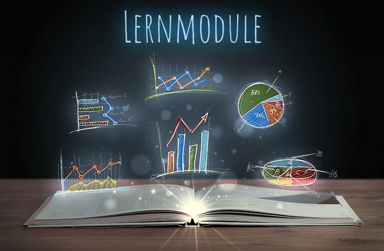 Die Lernmodule für disy Cadenza