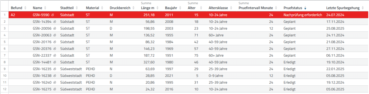 Tabelle mit Netzabschnitten und farblicher Kennzeichnung eines Befunds.