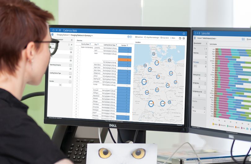 Informationen effizient mit disy Cadenza als Reporting-Software bereitstellen