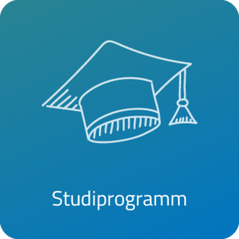 Studiprogramm