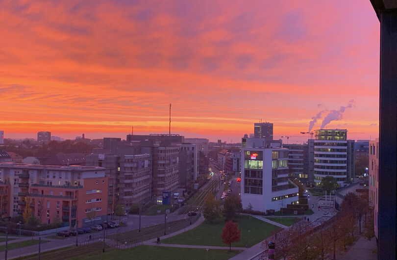 Bild: Disy Afterwork