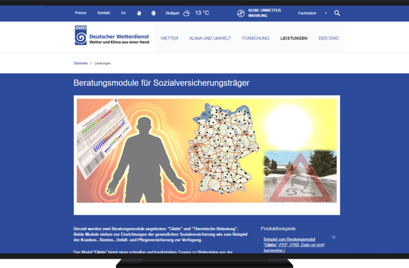 Abb. 3: Beratungsmodule für Sozialversicherungsträger