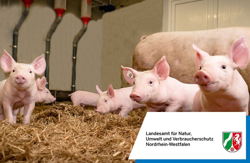 NRW setzt bei der Tiergesundheitsdatenbank auf disy Cadenza 