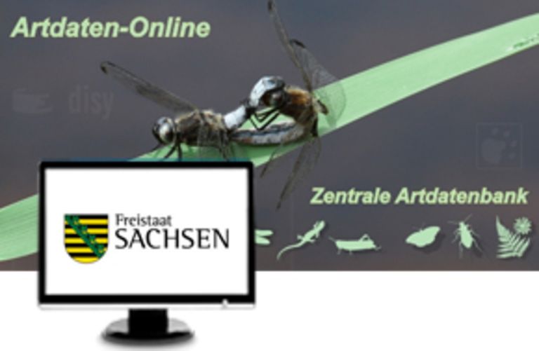 Zentrale Artdatenbank Sachsen jetzt online