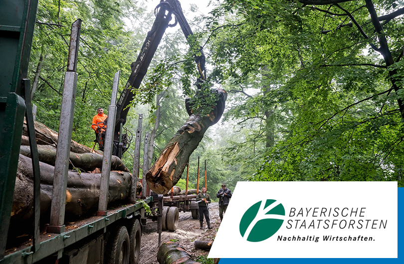 Bayerische Staatsforsten