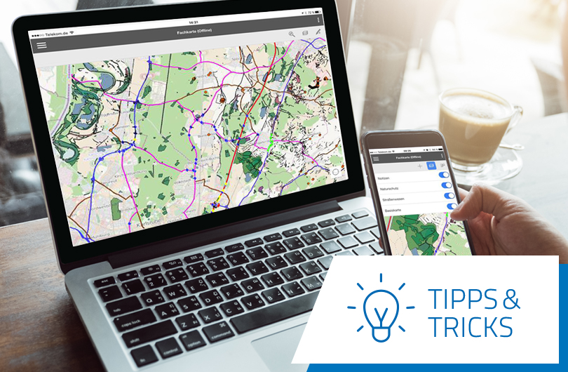So binden Sie einen ArcGIS Server in Cadenza ein